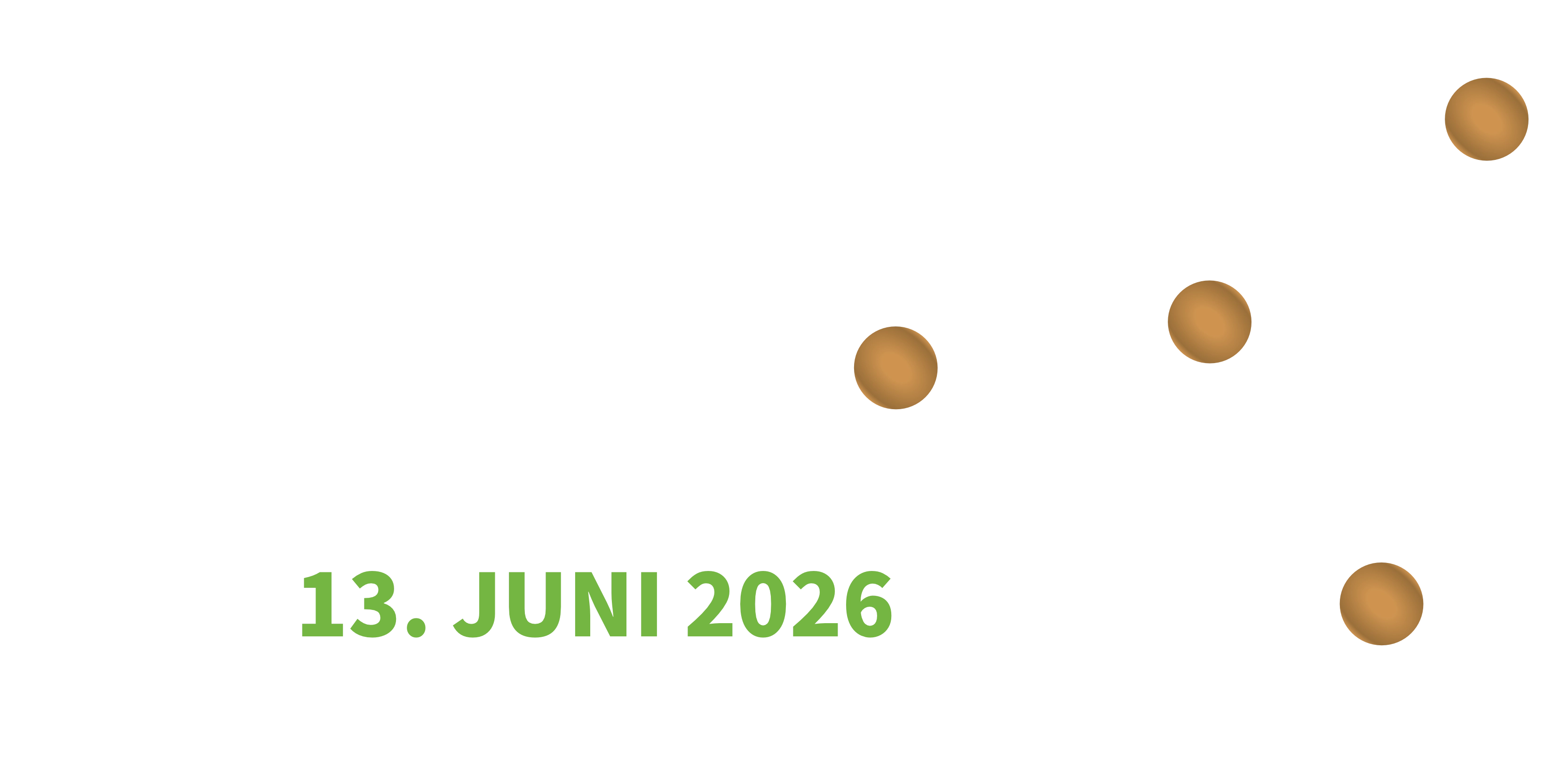 13. Himmelswegelauf